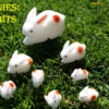 78923-full The Bunnies! 3D Rabbits (Parents, Kids & Grandpa)