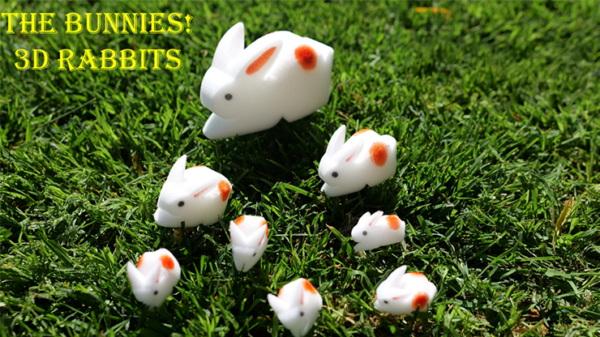 78923-full The Bunnies! 3D Rabbits (Parents, Kids & Grandpa)
