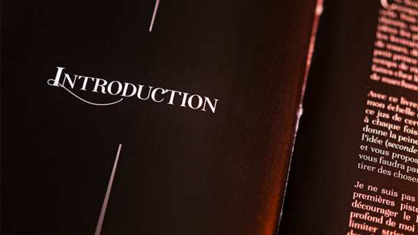 78933-alt2 Subtle Secrets 1 by Thibault Ternon