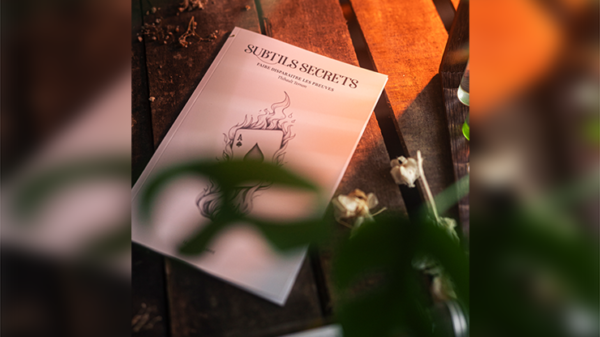 78933-alt4 Subtle Secrets 1 by Thibault Ternon