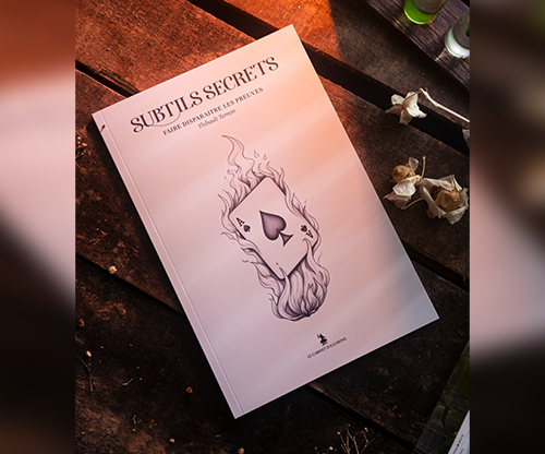 Subtle Secrets 1 by Thibault Ternon