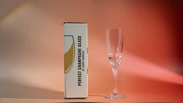 Perfect Champagne Glass by Henry Harrius
