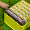 Childhood Playing Cards (Half Brick Standard  + Gilded ) by TCC & Lunzi