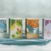 Bicycle Seasons (Winter Edition) Playing Cards