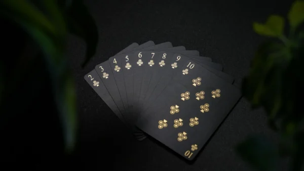 Labyrinthium Playing Cards