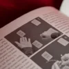 Giacomo Bertini's System for Amazement by Stephen Minch - Book