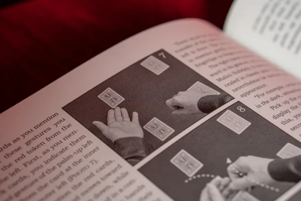 Giacomo Bertini's System for Amazement by Stephen Minch - Book