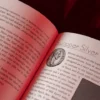 Giacomo Bertini's System for Amazement by Stephen Minch - Book