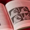 Giacomo Bertini's System for Amazement by Stephen Minch - Book