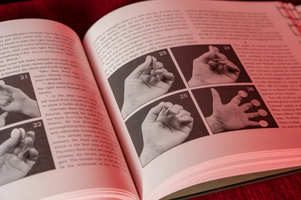 Giacomo Bertini's System for Amazement by Stephen Minch - Book
