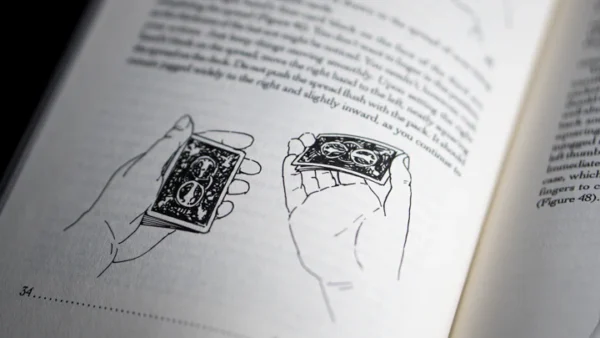 By Forces Unseen by Stephen Minch - Book