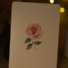 Flower Deck (Roses) Playing Cards