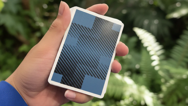 79854-alt1 False Playing Cards by WohStudios