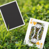 79857-alt1 North Wind Beacon Playing Cards by WohStudios
