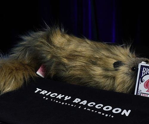Tricky Raccoon by Liang Kuai & Amor Magic
