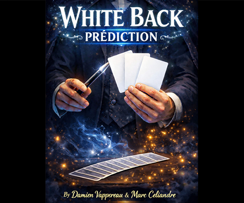 White Back Prediction by Damien Vappereau and Marc Céliandre (Blue)