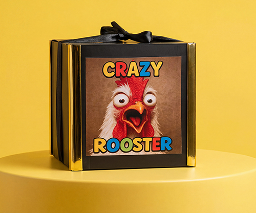 Crazy Rooster by Mr. Daba