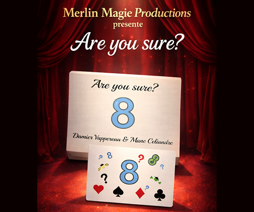 Are You Sure? by Damien Vappereau and Marc Céliandre