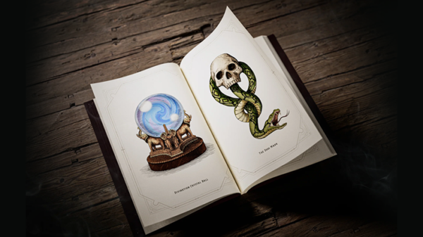 80095-alt3 Harry Potter Self-Coloring Book by theory11