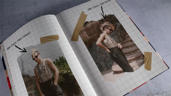 Never Mind the Bollocks by Etienne Pradier