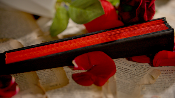 79167-alt5 The Butterfly by K.Pen & TCC Magic