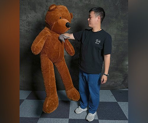 Teddy Bear Appearance (Medium) by MS Magic