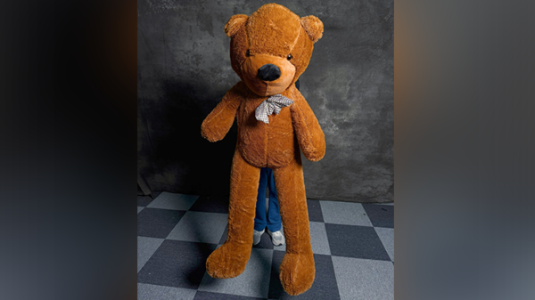 79249-full Teddy Bear Appearance (Large) by MS Magic