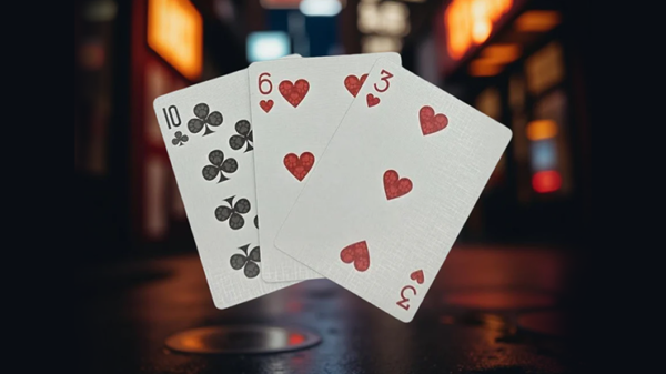 80157-alt1 Biker Cats Playing Cards by Collectable Playing Cards