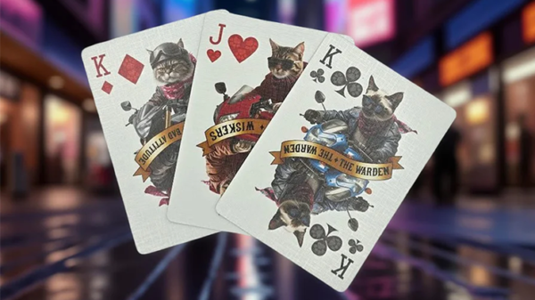80157-alt4 Biker Cats Playing Cards by Collectable Playing Cards