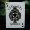 Fulton's Irish Wonders Playing Cards