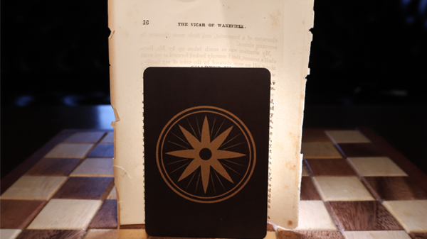 Faithless by David Peace