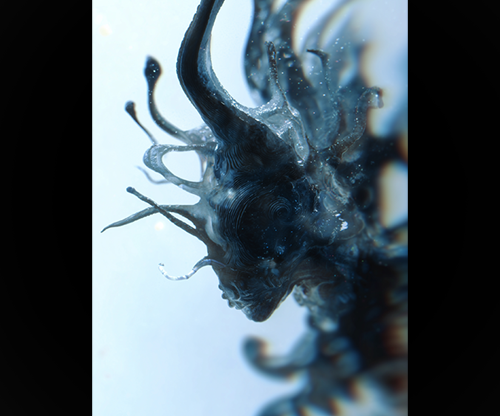 Progeny by Fraser Parker