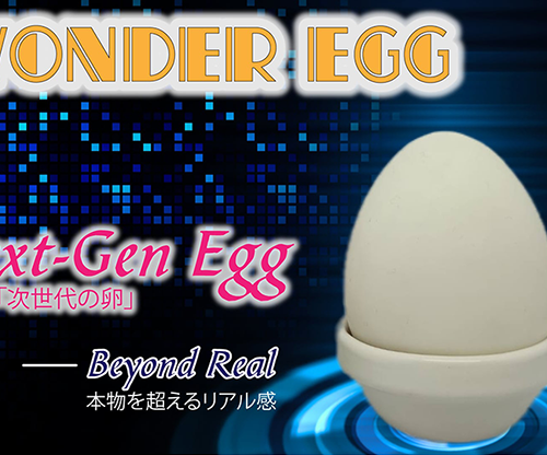 The Wonder Egg