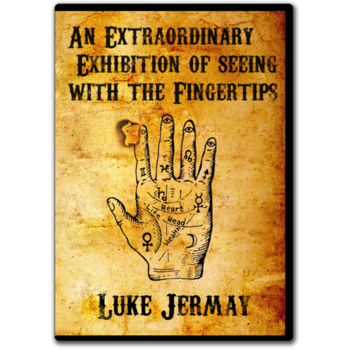 An Extraordinary Exhibition of Seeing with the Fingertips by Luke Jermay (Blue)