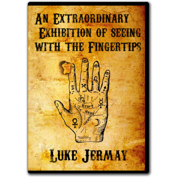An Extraordinary Exhibition of Seeing with the Fingertips by Luke Jermay (Blue)