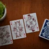Pegasus Playing Cards