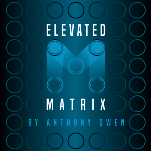 Elevated Matrix by Anthony Owen