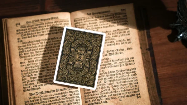 Sorcerer's Apprentice Playing Cards (Black)