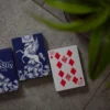 Pegasus Playing Cards
