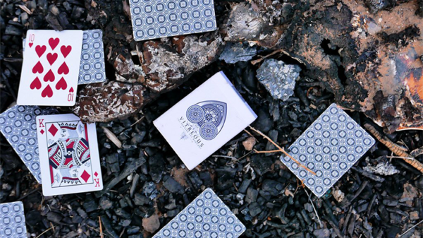 60037-full Vitreous Playing Cards by R.E. Handcrafted