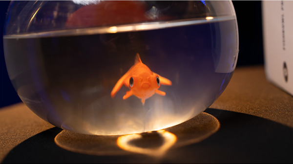 78391-alt3 Fishbowl Production by Murphy's Magic