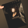 Levitas 2.0 by Jack Nobile and Piero Puddu