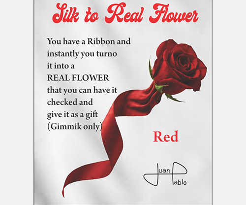 80413-full Silk to Real Flower (Red) by Juan Pablo