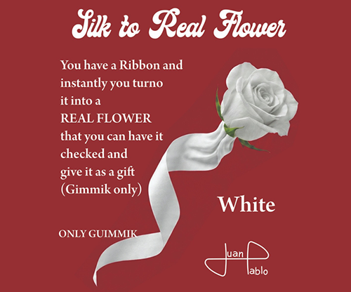 80414-full Silk to Real Flower (White) by Juan Pablo