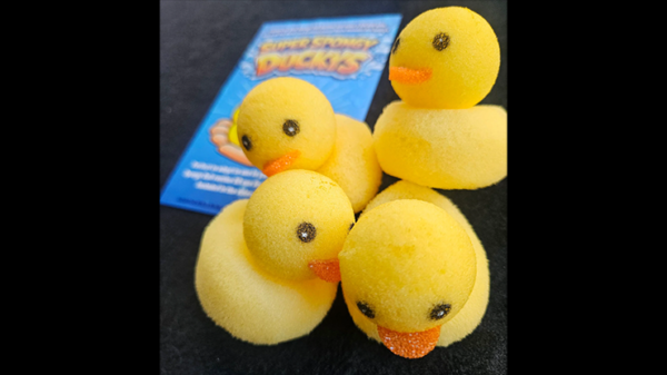80621-alt1 Super Spongy Duckies (4)