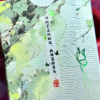 80642-alt1 Splendor of the Four Seasons - Summer Playing Cards by Hidden Light