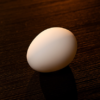 The Egg by Murphy's Magic