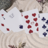 Bicycle Cycle of Venus Playing Cards