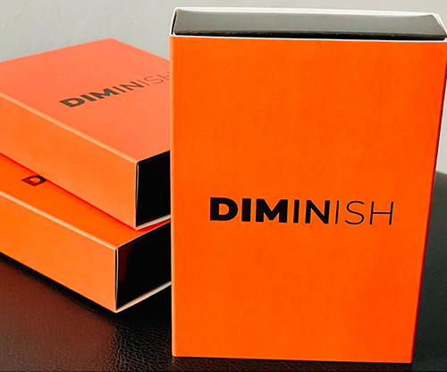 Diminish by Damian Surr
