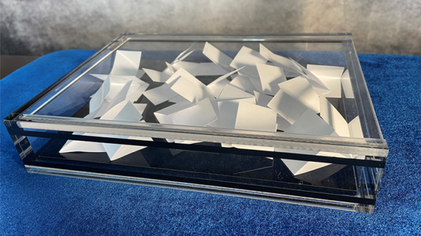 74462-alt1 The Crystal Billet Box LARGE by David Regal - Trick